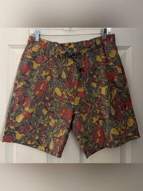 Toad&Co Men's Boundless Pull-On Shorts in the Chive Fruit Print, Medium
